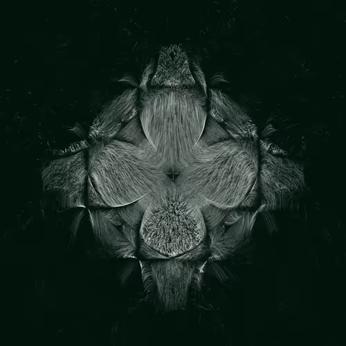 Item #1000000577 Media