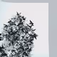 1000800162