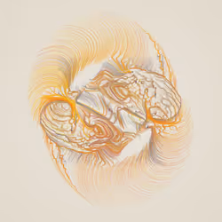 Dendrites #611