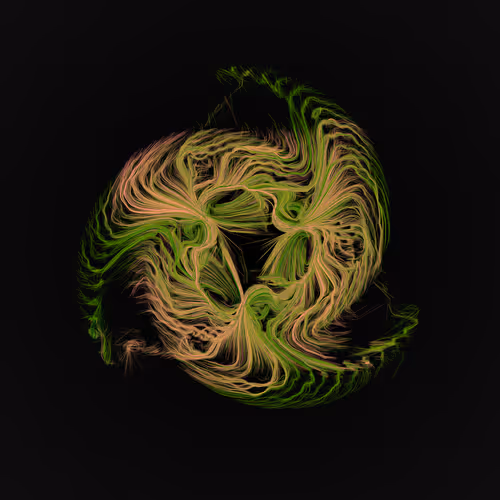 Item #1000900063 Media