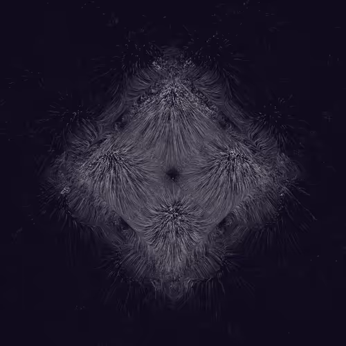 Item #1000000519 Media