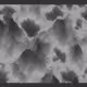 1000700544
