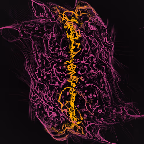 Item #1000900074 Media