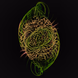 Dendrites #185