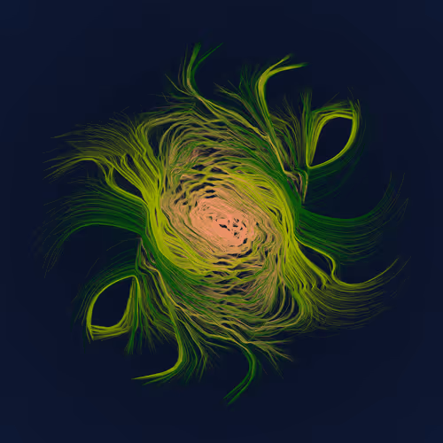 Dendrites #492