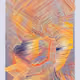 1000300383