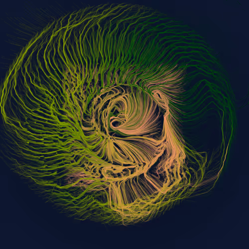 Item #1000900507 Media