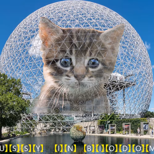 Cobweb Saints Editions