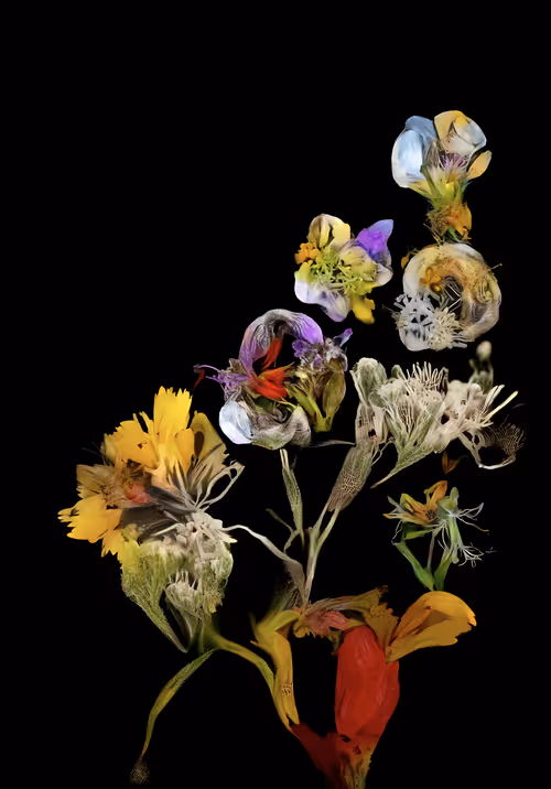 Item #36359572939881421518752223955591915296944221520764335320136695463598652596311 Media