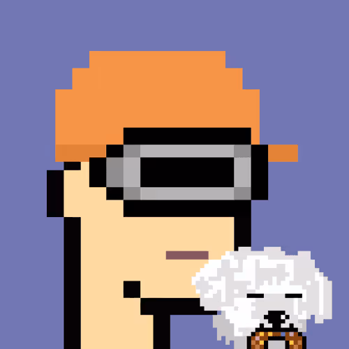 Punk And Puppy