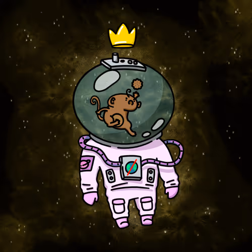 The Space Ark