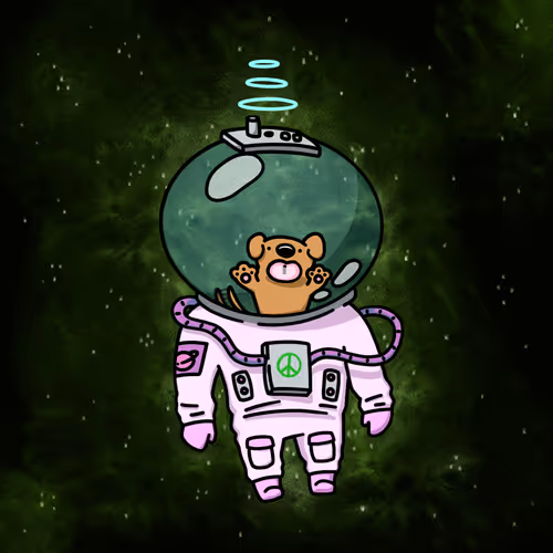 The Space Ark