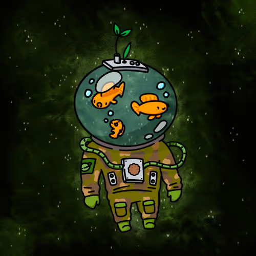 The Space Ark