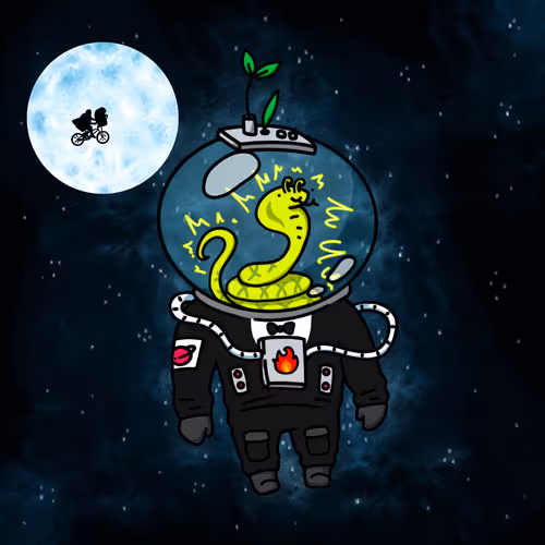 The Space Ark