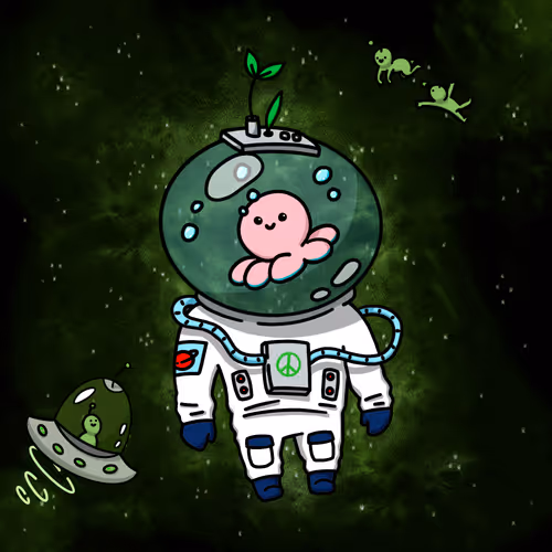 The Space Ark