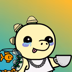 55