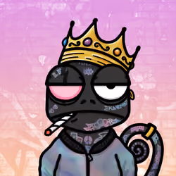 1526