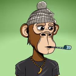 Ape Society Collection #336