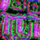 Quantum Encabulator