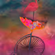 Pink Umbrella