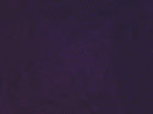 Item #19 Media