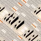 Decagon #18576
