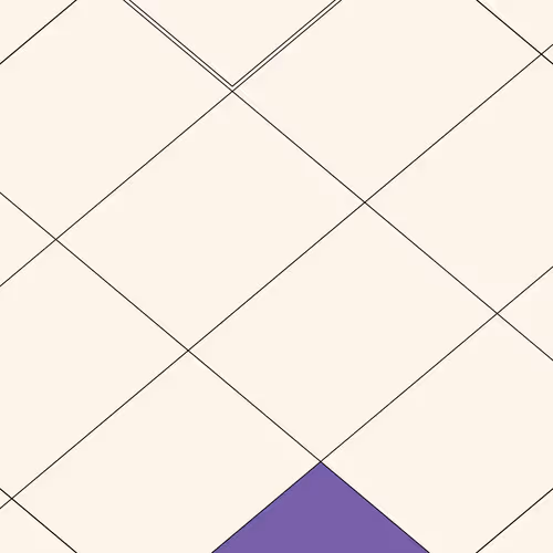 Decagon #11113