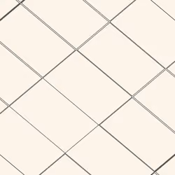 Decagon #44329