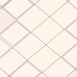 Decagon #43013