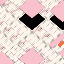 Decagon #20305