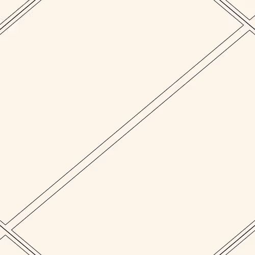 Decagon #21068