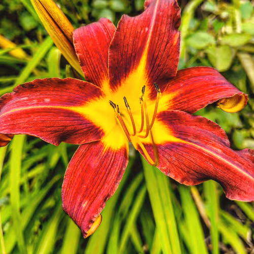 Item #53005209124234126952034718365391236339276044445194367771106162473958501253147 Media