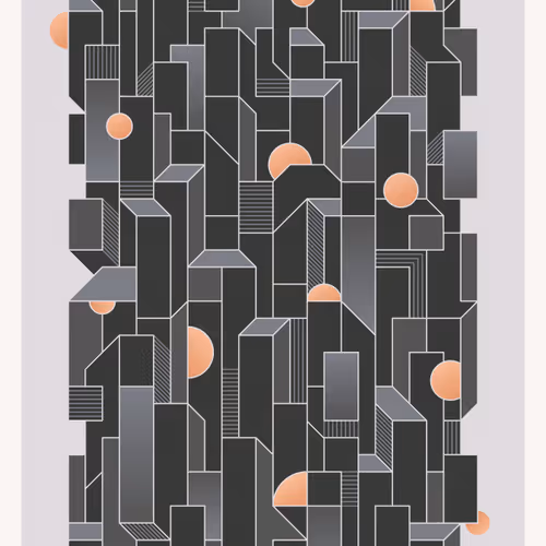 The Shape Shift Series