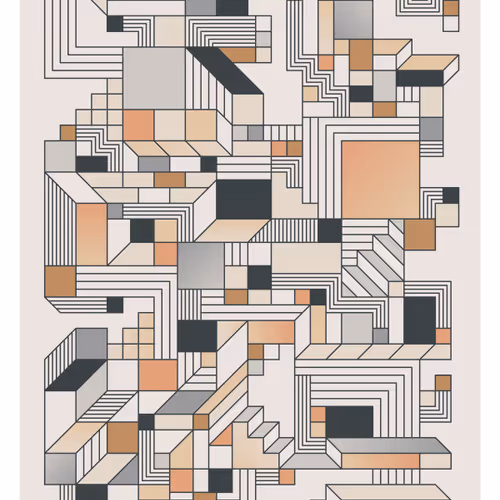 The Shape Shift Series