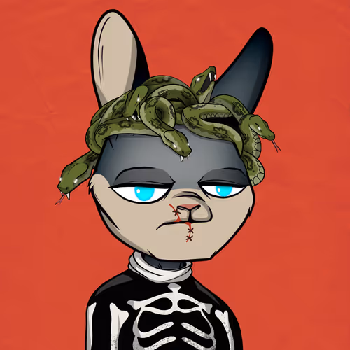 Madrabbitshorrorshow