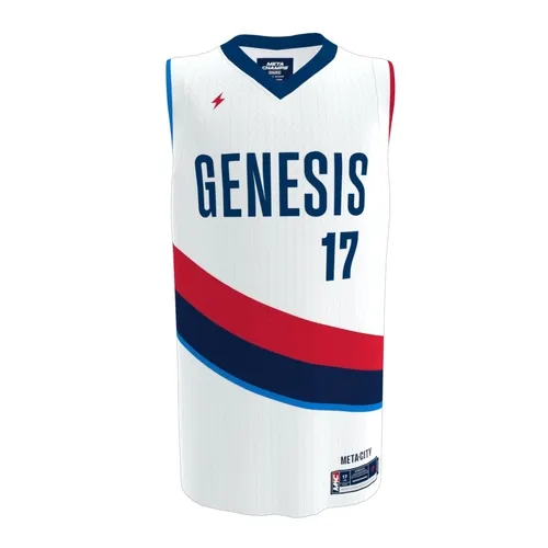 Home Jersey #17
