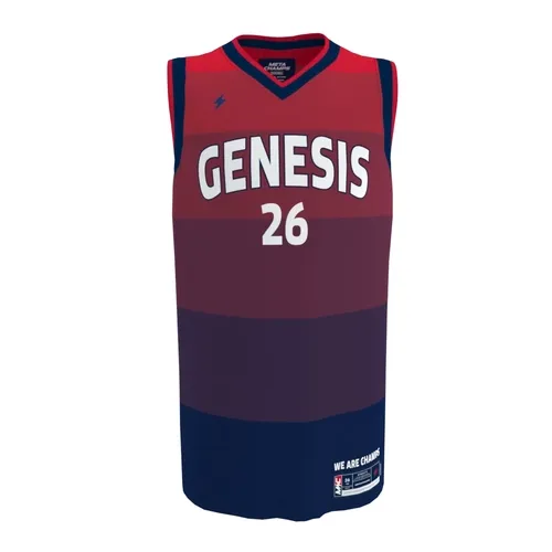 Away Jersey #26