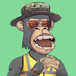 Timeless Ape #3348