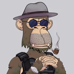 Timeless Ape #3232