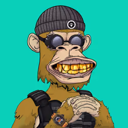 Timeless Ape #861