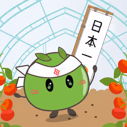 Tomapi-Banner-flag #0014
