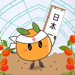 Tomana-Banner-flag #0012