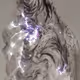 509