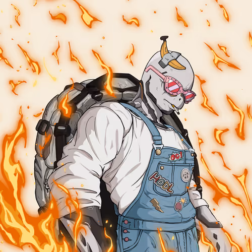 Fineturtle 14