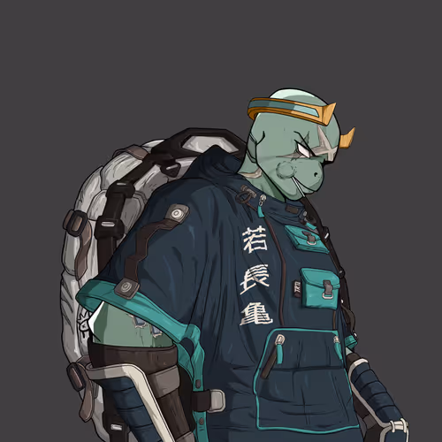 Fineturtle 14