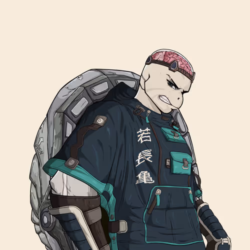 Fineturtle 14