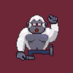 Ape #517