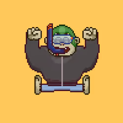 Ape #1004