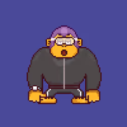 Ape #1566