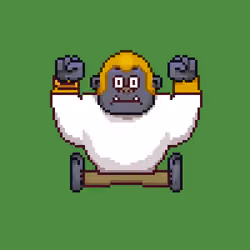 Ape #916